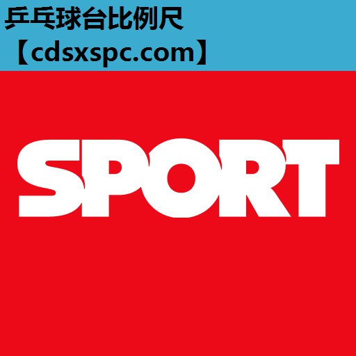 乒乓球台比例尺