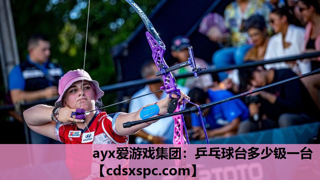 ayx爱游戏集团：乒乓球台多少钑一台