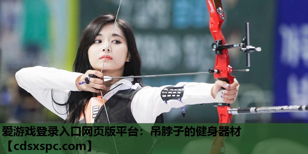 爱游戏登录入口网页版平台：吊脖子的健身器材