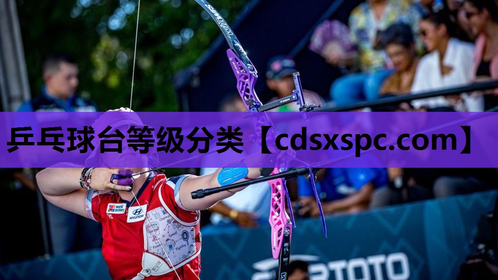 乒乓球台等级分类