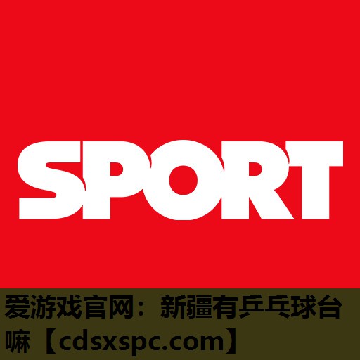 新疆有乒乓球台嘛