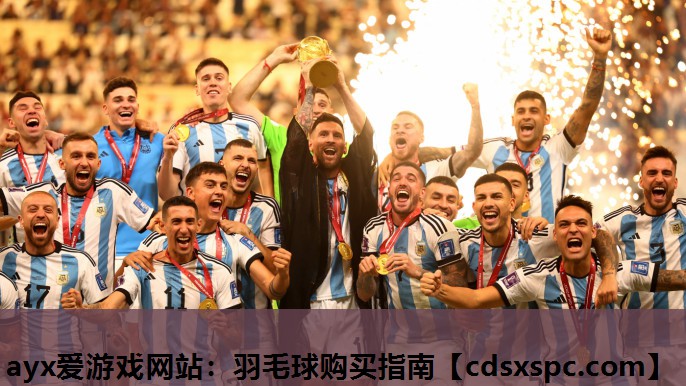 羽毛球购买指南