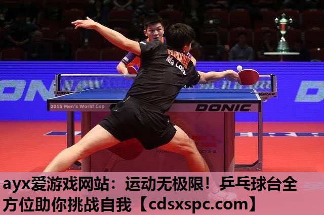 运动无极限！乒乓球台全方位助你挑战自我