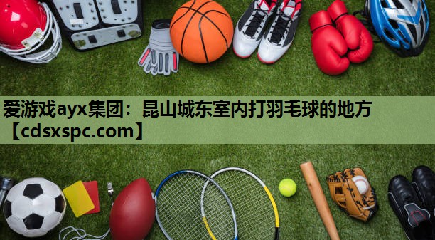 昆山城东室内打羽毛球的地方