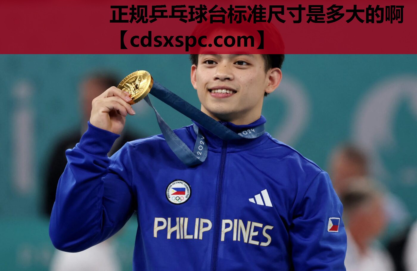 正规乒乓球台标准尺寸是多大的啊