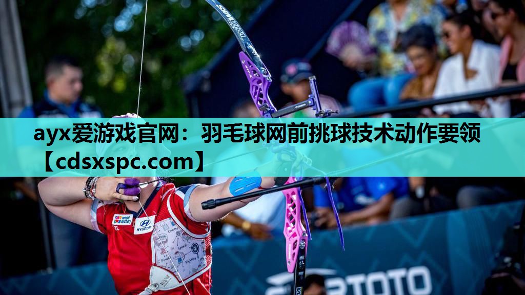 羽毛球网前挑球技术动作要领