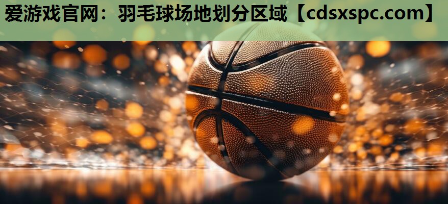 羽毛球场地划分区域