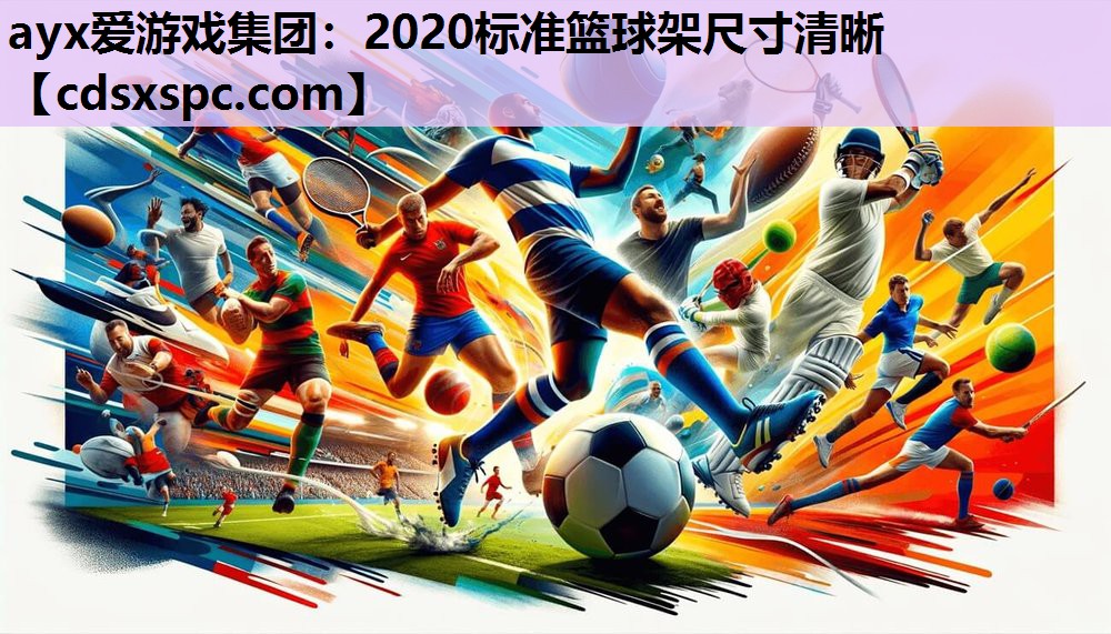 2020标准篮球架尺寸清晰