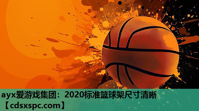 2020标准篮球架尺寸清晰