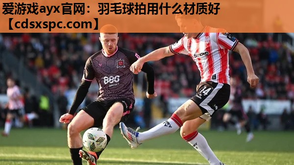 羽毛球拍用什么材质好