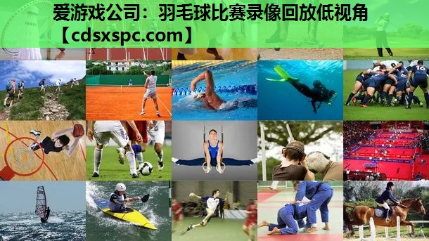 羽毛球比赛录像回放低视角