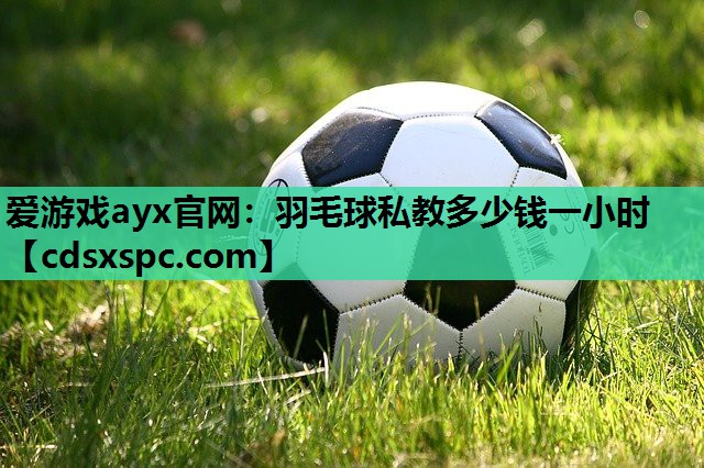 羽毛球私教多少钱一小时